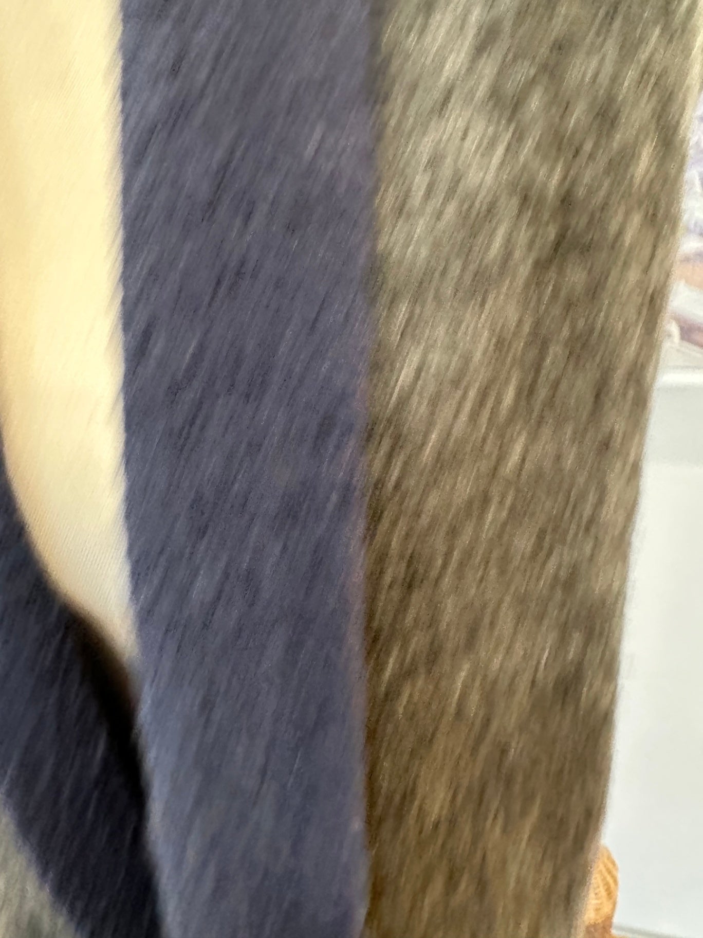 Grey and Navy Blue Vest