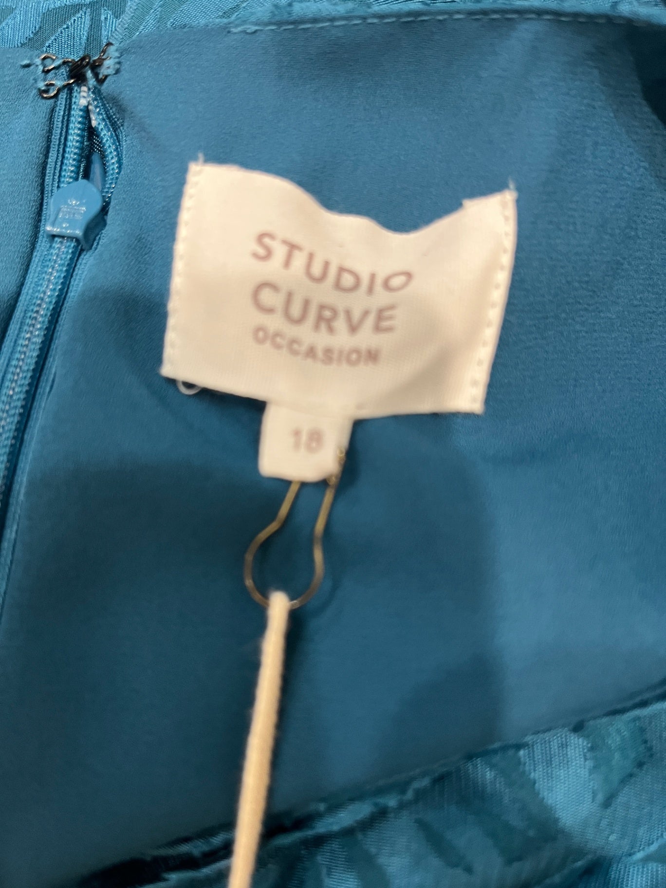 Studio Curve Dress 18 Teal