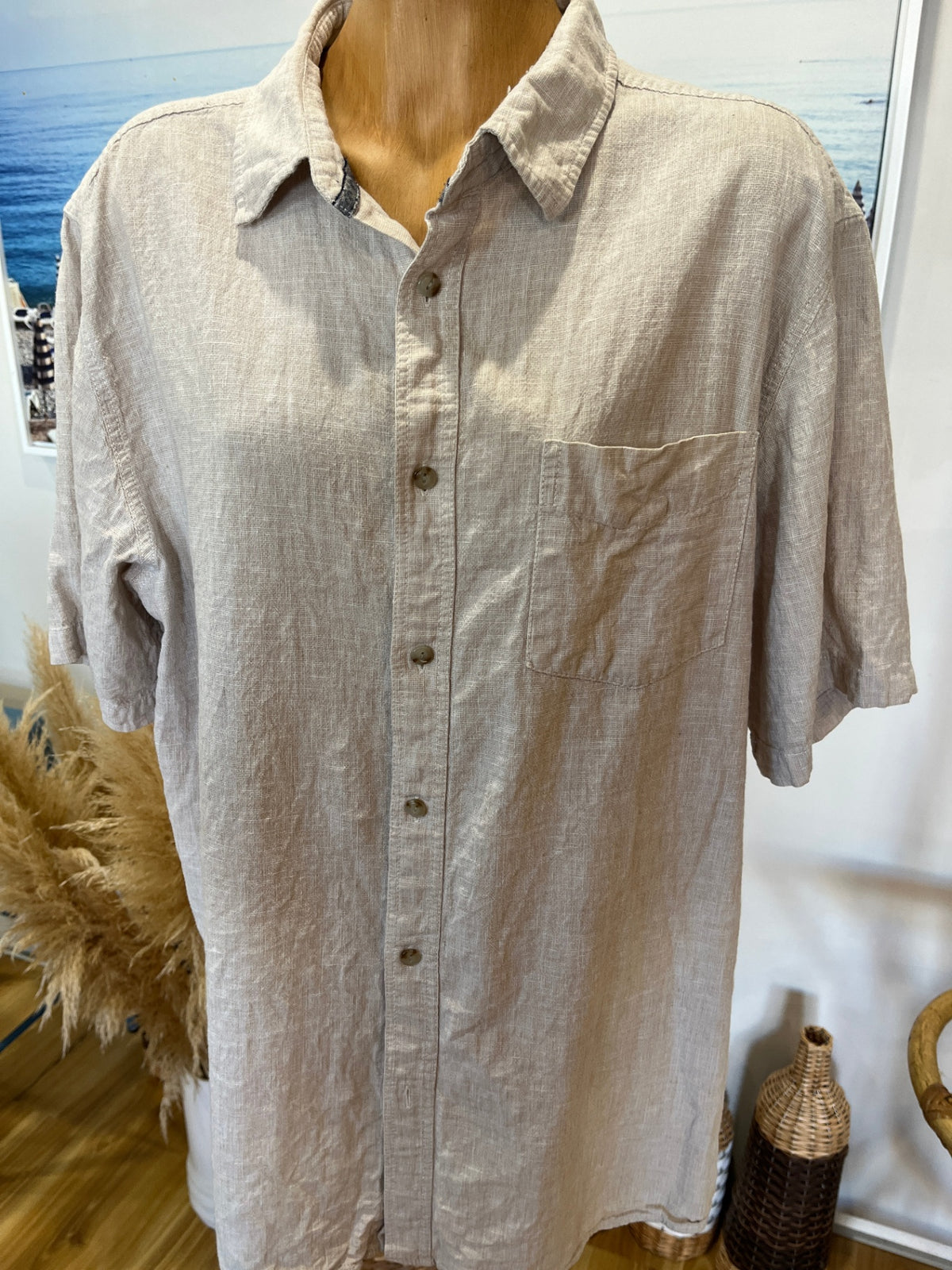 Men's Chisel Cream Shirt – Regular Fit Short Sleeve Collared | M